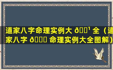 道家八字命理实例大 🌹 全（道家八字 🐛 命理实例大全图解）